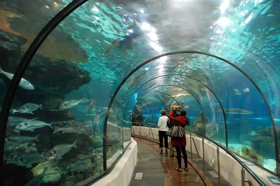 The Dallas World Aquarium