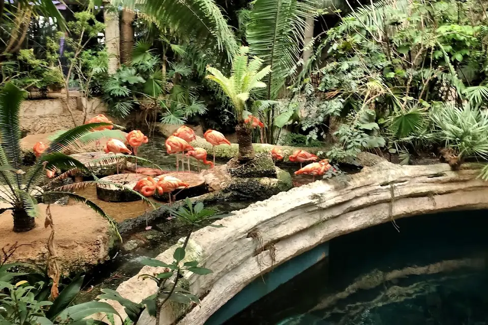 The Dallas World Aquarium